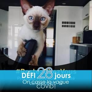 Meet your Posher, Annie